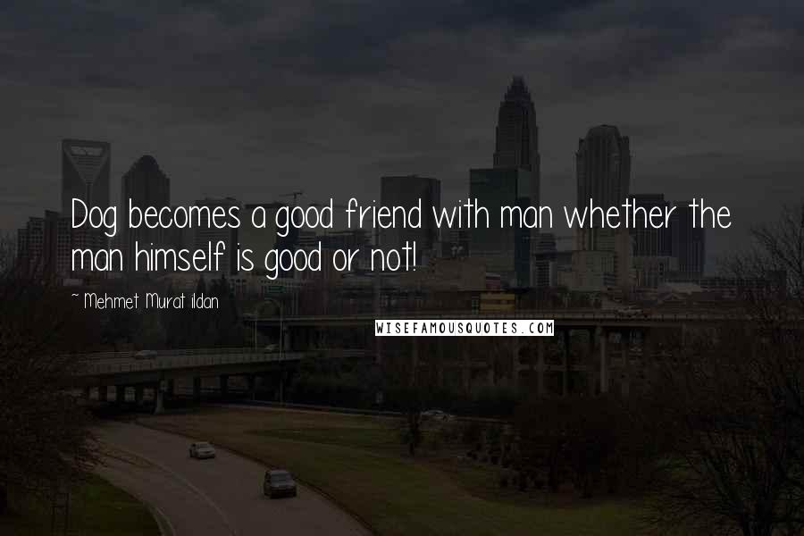 Mehmet Murat Ildan Quotes: Dog becomes a good friend with man whether the man himself is good or not!
