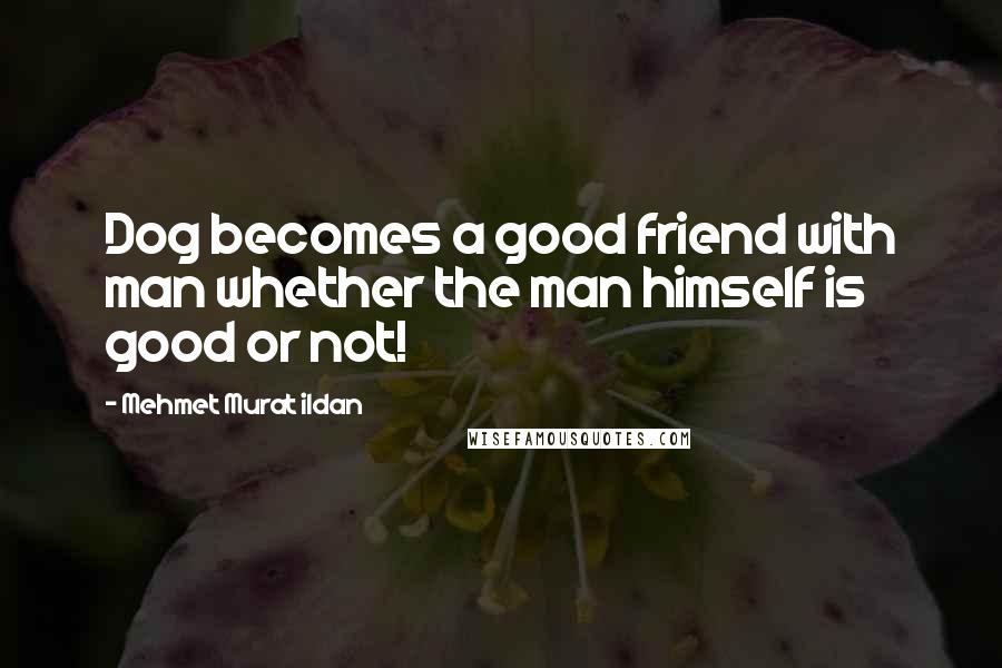 Mehmet Murat Ildan Quotes: Dog becomes a good friend with man whether the man himself is good or not!