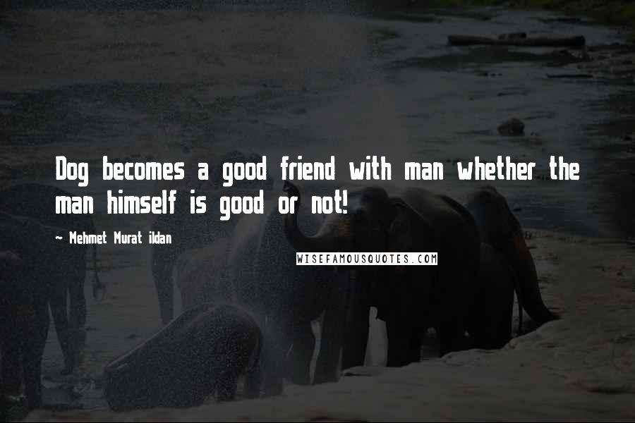 Mehmet Murat Ildan Quotes: Dog becomes a good friend with man whether the man himself is good or not!