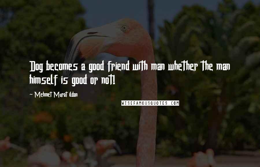 Mehmet Murat Ildan Quotes: Dog becomes a good friend with man whether the man himself is good or not!