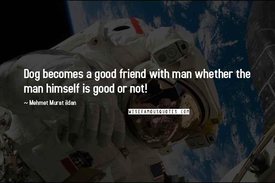 Mehmet Murat Ildan Quotes: Dog becomes a good friend with man whether the man himself is good or not!