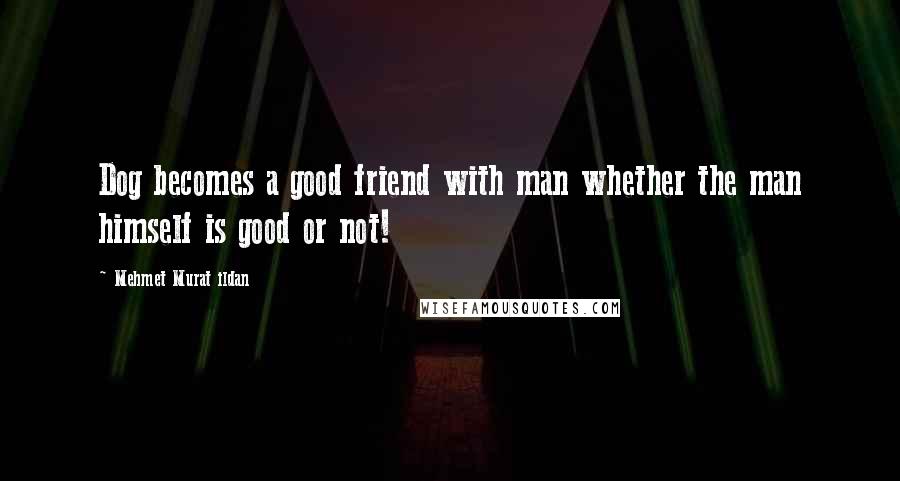 Mehmet Murat Ildan Quotes: Dog becomes a good friend with man whether the man himself is good or not!