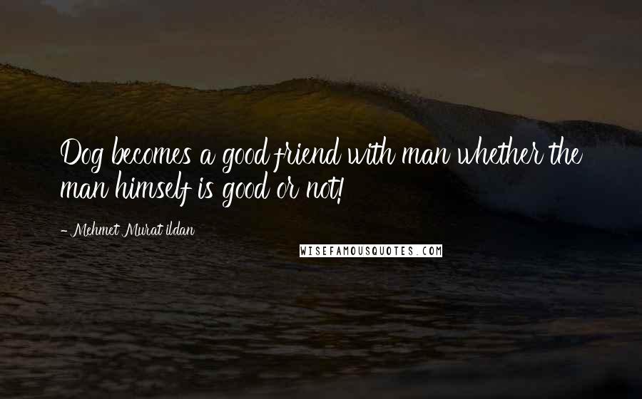 Mehmet Murat Ildan Quotes: Dog becomes a good friend with man whether the man himself is good or not!