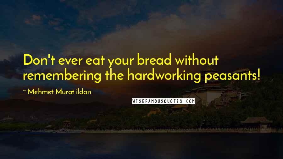Mehmet Murat Ildan Quotes: Don't ever eat your bread without remembering the hardworking peasants!