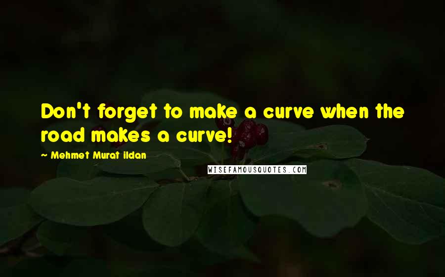 Mehmet Murat Ildan Quotes: Don't forget to make a curve when the road makes a curve!