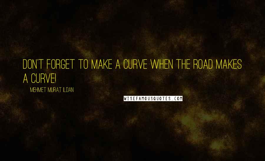 Mehmet Murat Ildan Quotes: Don't forget to make a curve when the road makes a curve!