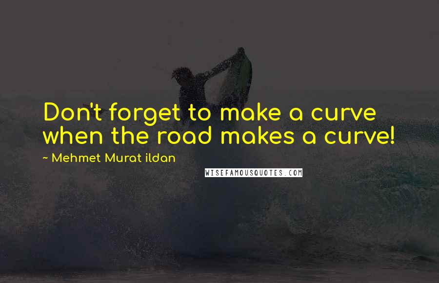 Mehmet Murat Ildan Quotes: Don't forget to make a curve when the road makes a curve!