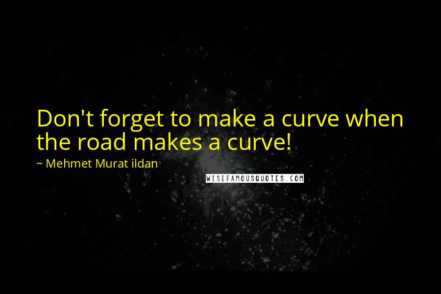 Mehmet Murat Ildan Quotes: Don't forget to make a curve when the road makes a curve!