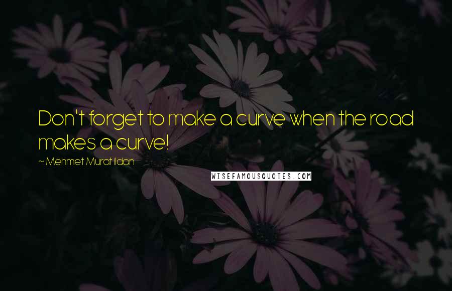 Mehmet Murat Ildan Quotes: Don't forget to make a curve when the road makes a curve!