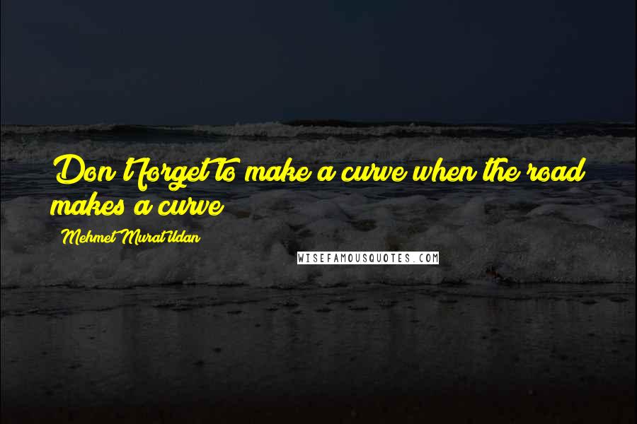 Mehmet Murat Ildan Quotes: Don't forget to make a curve when the road makes a curve!