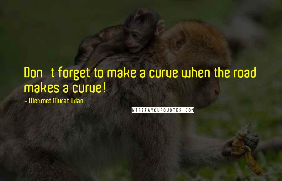 Mehmet Murat Ildan Quotes: Don't forget to make a curve when the road makes a curve!