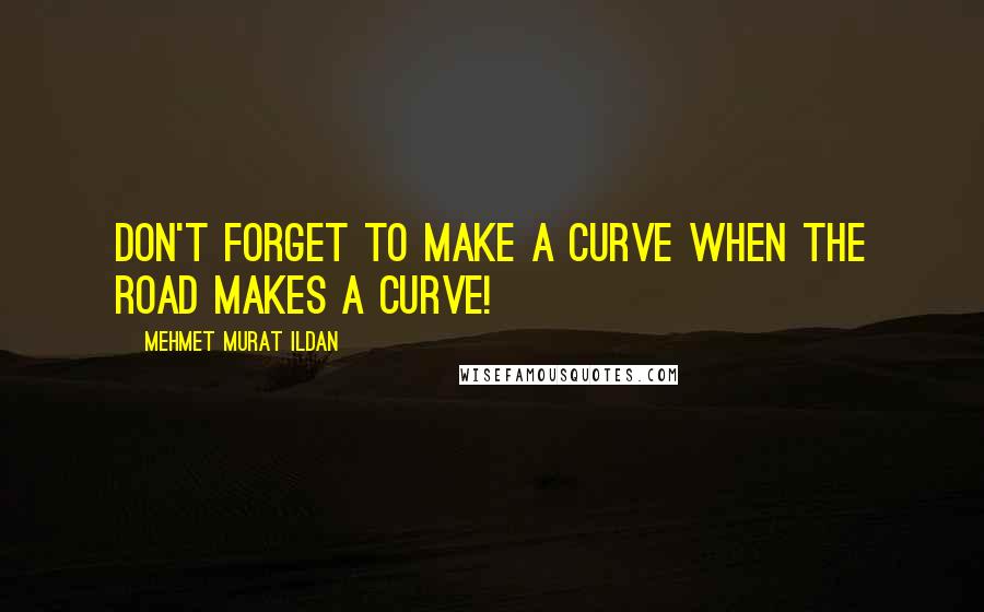 Mehmet Murat Ildan Quotes: Don't forget to make a curve when the road makes a curve!