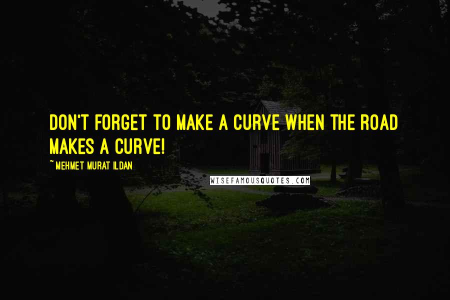 Mehmet Murat Ildan Quotes: Don't forget to make a curve when the road makes a curve!