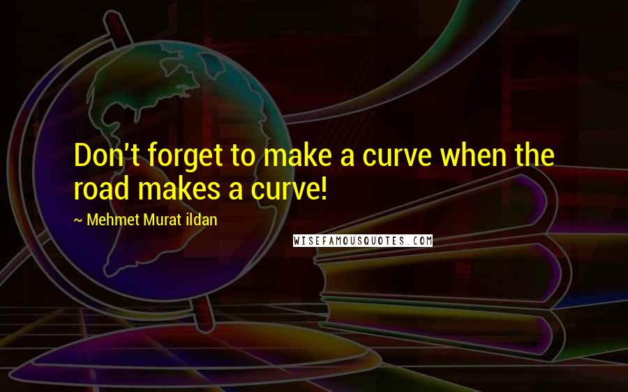 Mehmet Murat Ildan Quotes: Don't forget to make a curve when the road makes a curve!