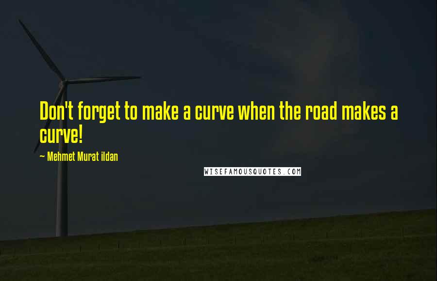 Mehmet Murat Ildan Quotes: Don't forget to make a curve when the road makes a curve!