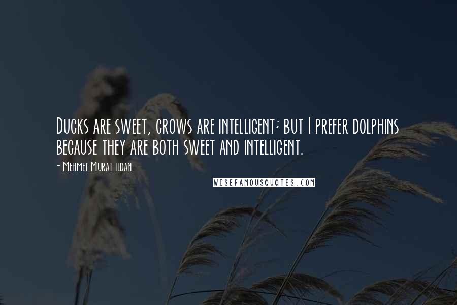 Mehmet Murat Ildan Quotes: Ducks are sweet, crows are intelligent; but I prefer dolphins because they are both sweet and intelligent.