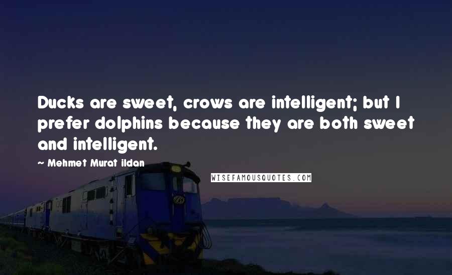 Mehmet Murat Ildan Quotes: Ducks are sweet, crows are intelligent; but I prefer dolphins because they are both sweet and intelligent.