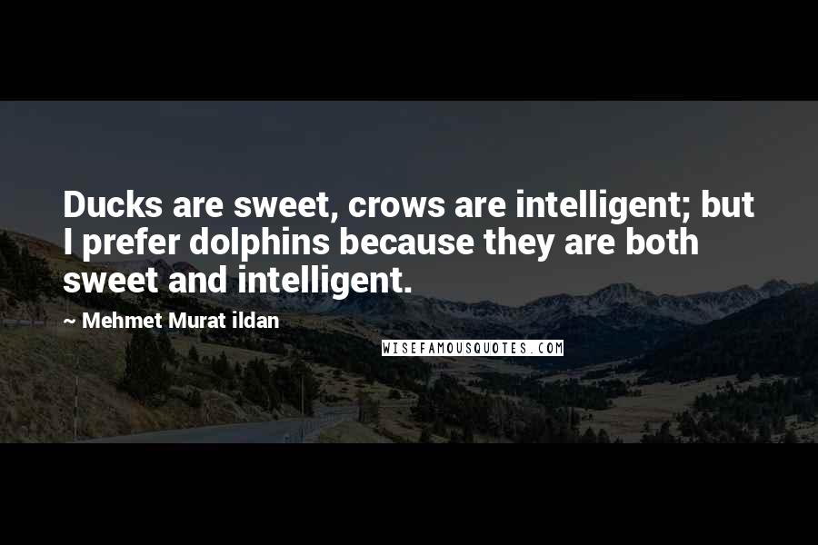 Mehmet Murat Ildan Quotes: Ducks are sweet, crows are intelligent; but I prefer dolphins because they are both sweet and intelligent.