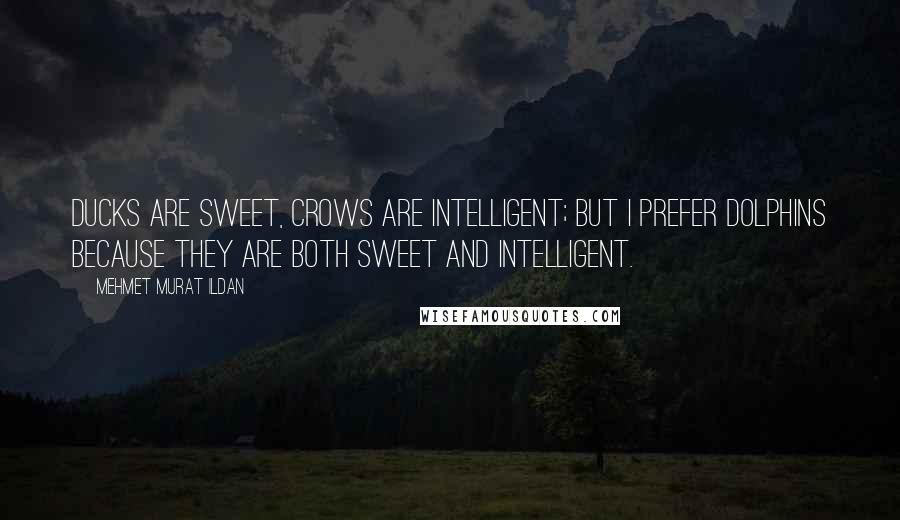 Mehmet Murat Ildan Quotes: Ducks are sweet, crows are intelligent; but I prefer dolphins because they are both sweet and intelligent.