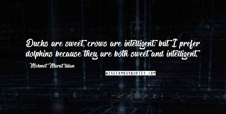 Mehmet Murat Ildan Quotes: Ducks are sweet, crows are intelligent; but I prefer dolphins because they are both sweet and intelligent.