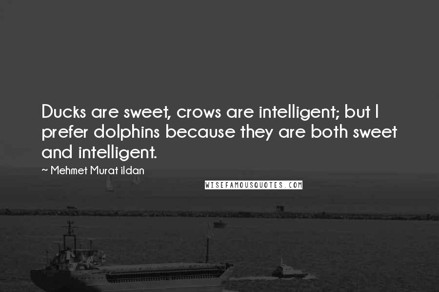 Mehmet Murat Ildan Quotes: Ducks are sweet, crows are intelligent; but I prefer dolphins because they are both sweet and intelligent.