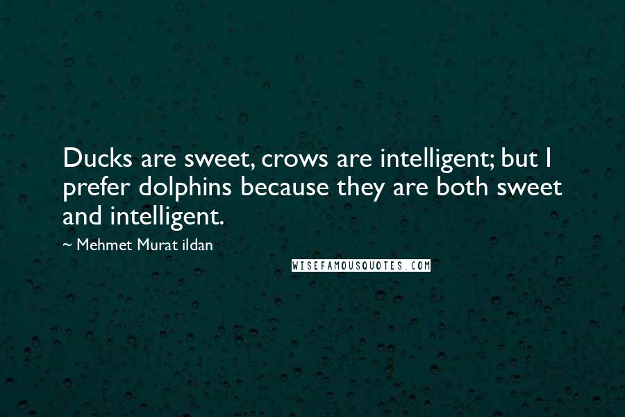 Mehmet Murat Ildan Quotes: Ducks are sweet, crows are intelligent; but I prefer dolphins because they are both sweet and intelligent.