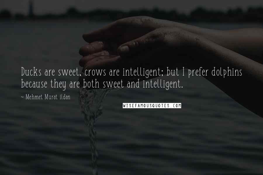 Mehmet Murat Ildan Quotes: Ducks are sweet, crows are intelligent; but I prefer dolphins because they are both sweet and intelligent.