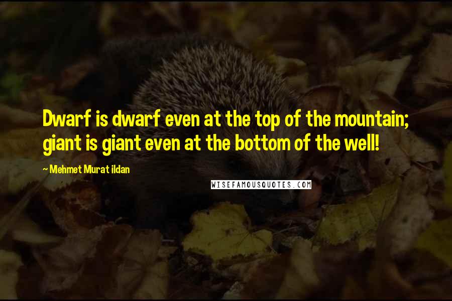 Mehmet Murat Ildan Quotes: Dwarf is dwarf even at the top of the mountain; giant is giant even at the bottom of the well!