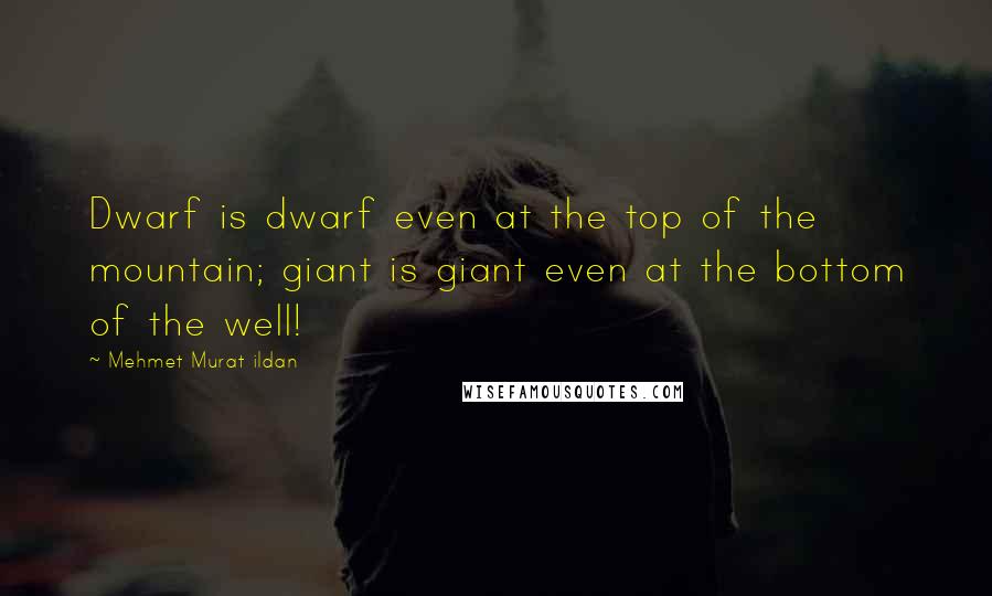 Mehmet Murat Ildan Quotes: Dwarf is dwarf even at the top of the mountain; giant is giant even at the bottom of the well!