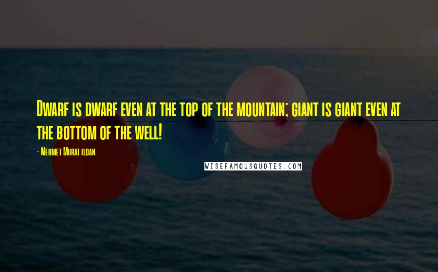 Mehmet Murat Ildan Quotes: Dwarf is dwarf even at the top of the mountain; giant is giant even at the bottom of the well!