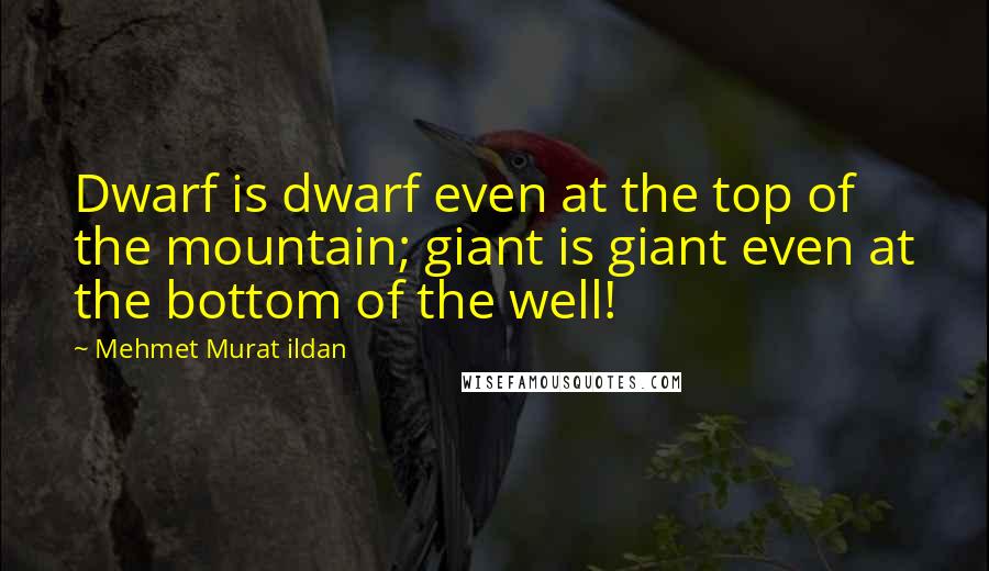 Mehmet Murat Ildan Quotes: Dwarf is dwarf even at the top of the mountain; giant is giant even at the bottom of the well!