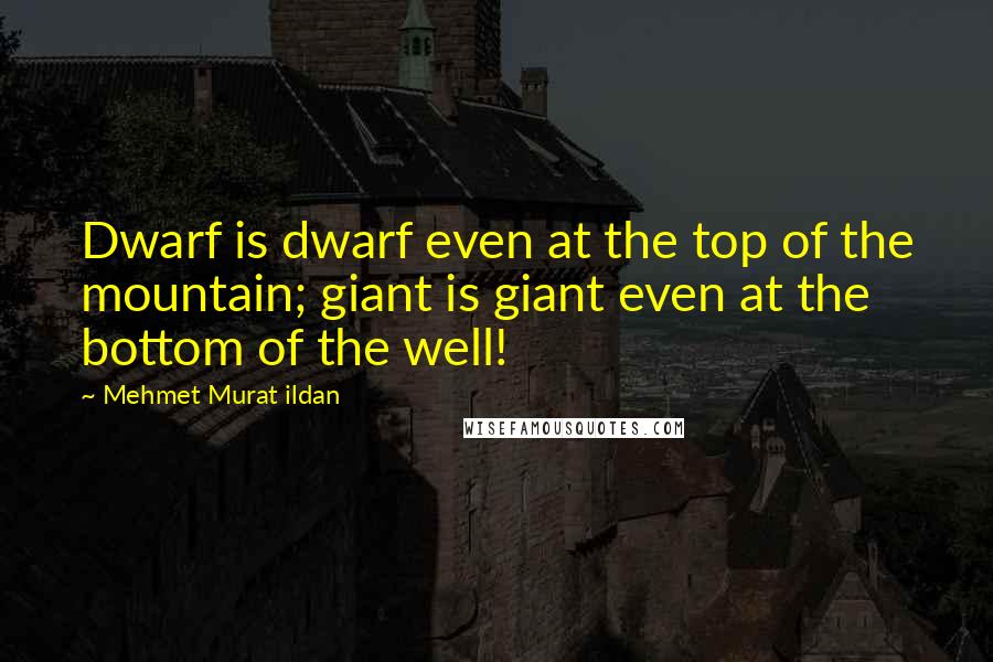 Mehmet Murat Ildan Quotes: Dwarf is dwarf even at the top of the mountain; giant is giant even at the bottom of the well!