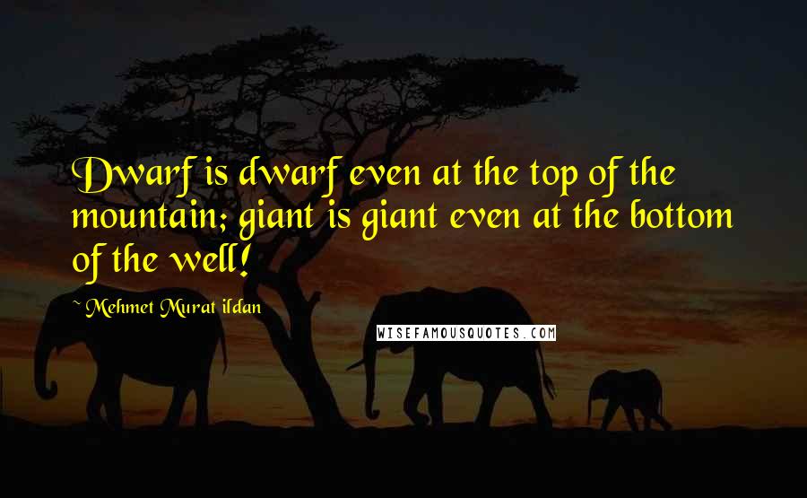 Mehmet Murat Ildan Quotes: Dwarf is dwarf even at the top of the mountain; giant is giant even at the bottom of the well!