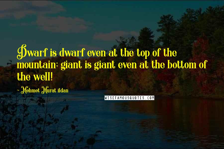 Mehmet Murat Ildan Quotes: Dwarf is dwarf even at the top of the mountain; giant is giant even at the bottom of the well!