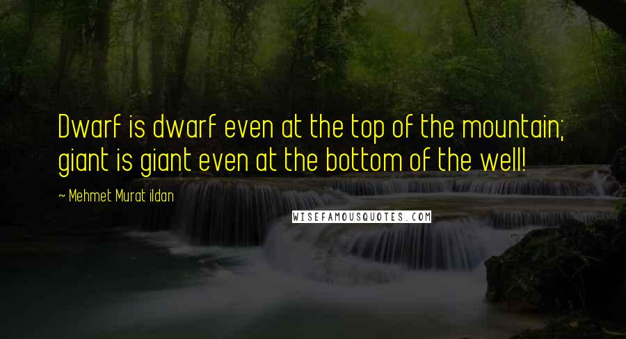 Mehmet Murat Ildan Quotes: Dwarf is dwarf even at the top of the mountain; giant is giant even at the bottom of the well!