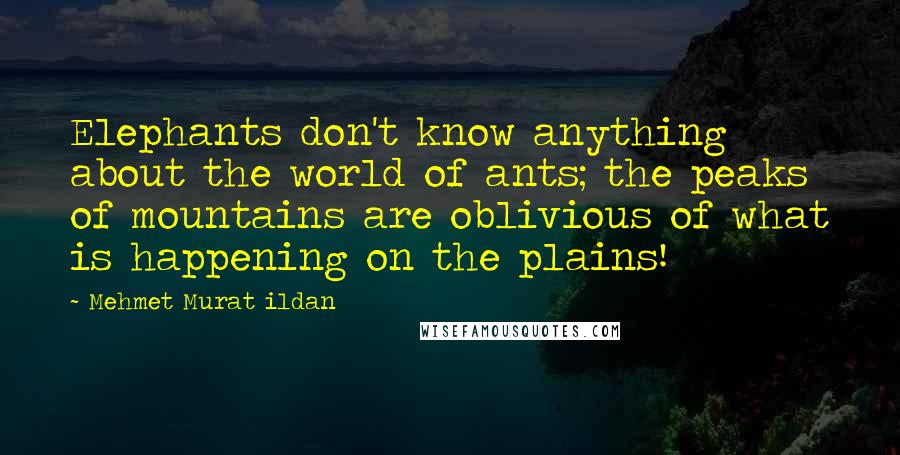 Mehmet Murat Ildan Quotes: Elephants don't know anything about the world of ants; the peaks of mountains are oblivious of what is happening on the plains!