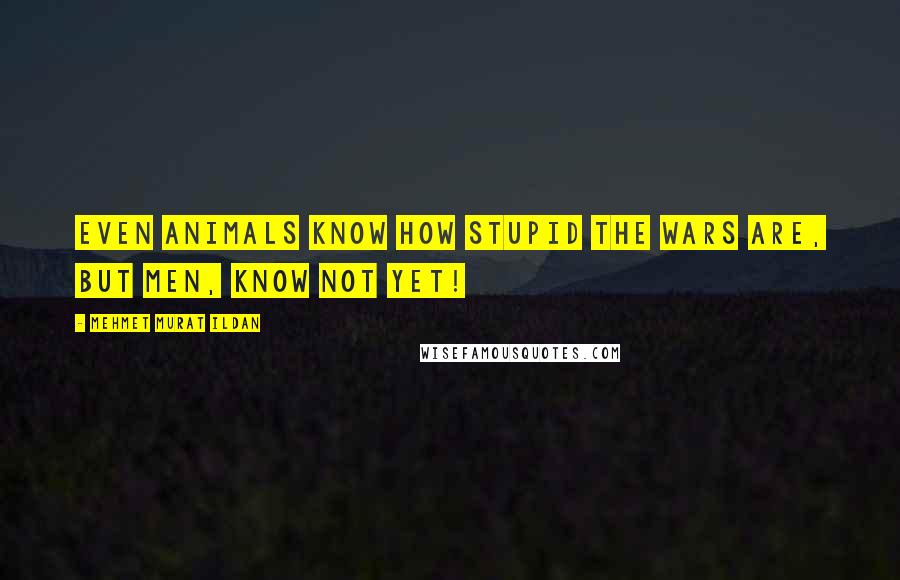 Mehmet Murat Ildan Quotes: Even animals know how stupid the wars are, but men, know not yet!