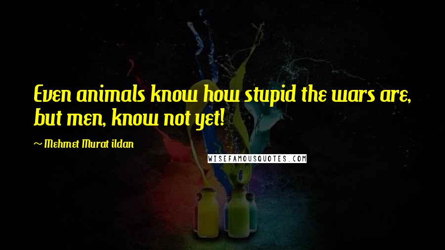 Mehmet Murat Ildan Quotes: Even animals know how stupid the wars are, but men, know not yet!