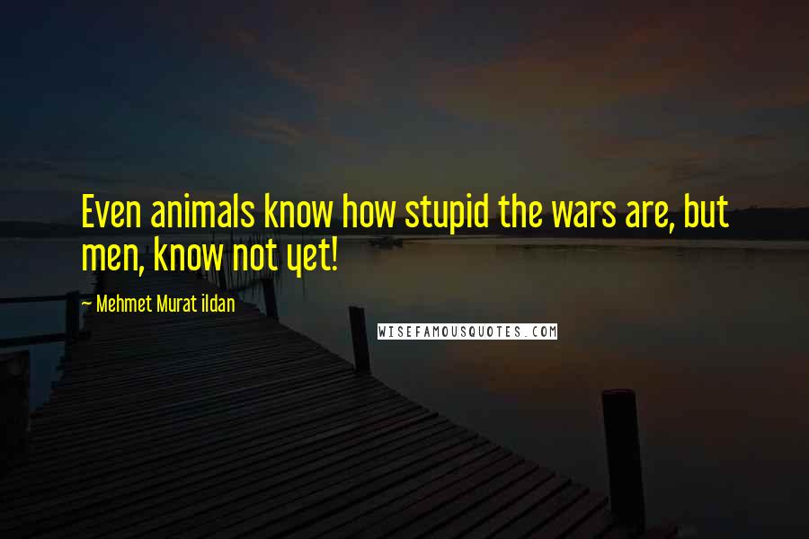 Mehmet Murat Ildan Quotes: Even animals know how stupid the wars are, but men, know not yet!