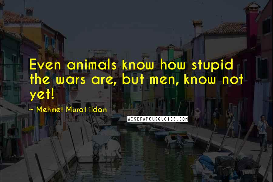 Mehmet Murat Ildan Quotes: Even animals know how stupid the wars are, but men, know not yet!