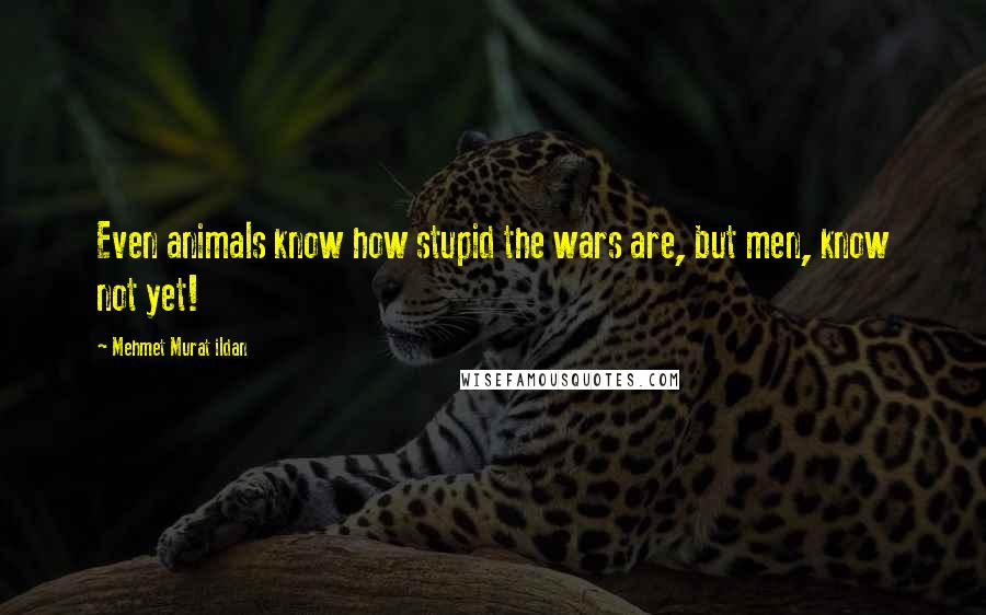 Mehmet Murat Ildan Quotes: Even animals know how stupid the wars are, but men, know not yet!