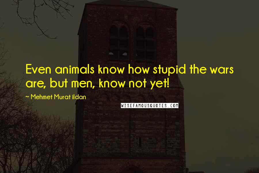 Mehmet Murat Ildan Quotes: Even animals know how stupid the wars are, but men, know not yet!