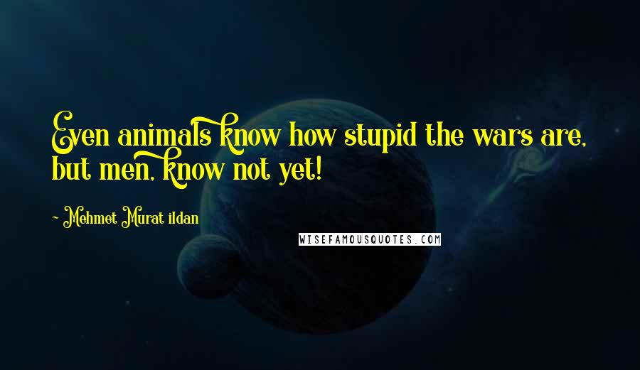 Mehmet Murat Ildan Quotes: Even animals know how stupid the wars are, but men, know not yet!