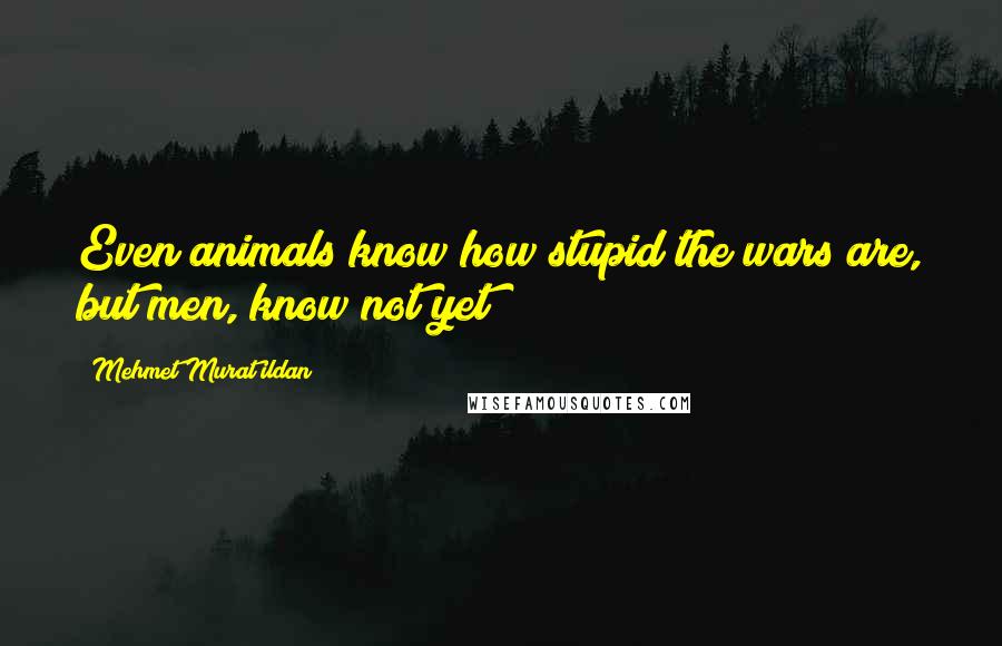 Mehmet Murat Ildan Quotes: Even animals know how stupid the wars are, but men, know not yet!