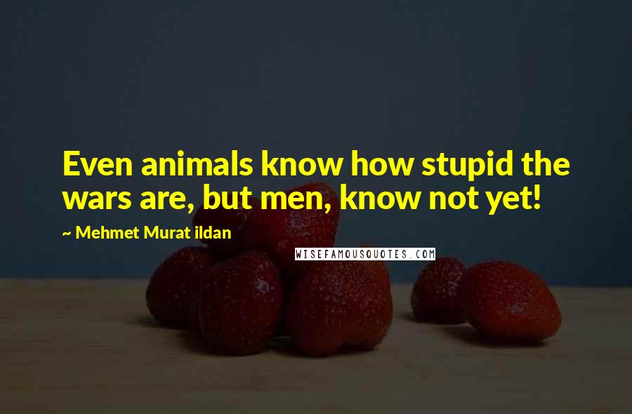 Mehmet Murat Ildan Quotes: Even animals know how stupid the wars are, but men, know not yet!