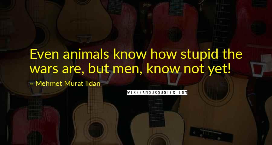Mehmet Murat Ildan Quotes: Even animals know how stupid the wars are, but men, know not yet!