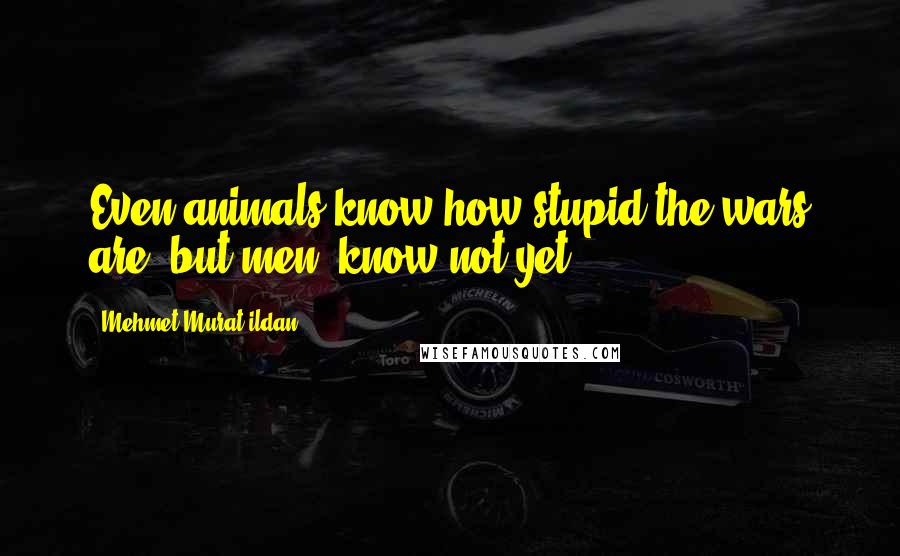 Mehmet Murat Ildan Quotes: Even animals know how stupid the wars are, but men, know not yet!