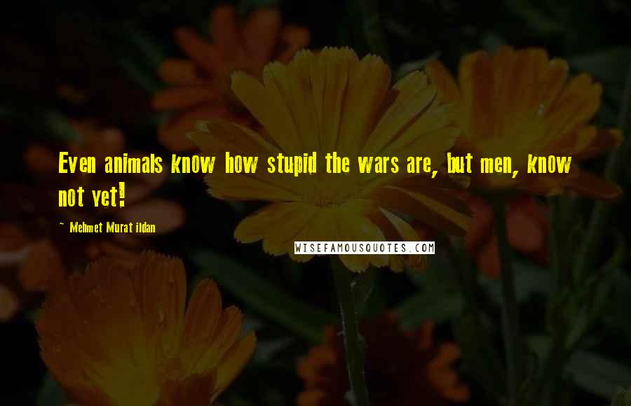 Mehmet Murat Ildan Quotes: Even animals know how stupid the wars are, but men, know not yet!