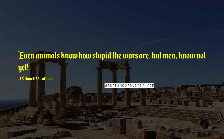 Mehmet Murat Ildan Quotes: Even animals know how stupid the wars are, but men, know not yet!