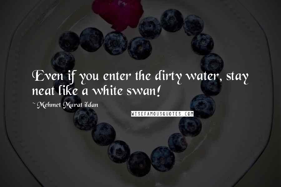 Mehmet Murat Ildan Quotes: Even if you enter the dirty water, stay neat like a white swan!
